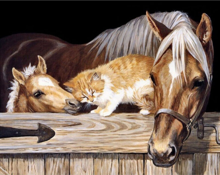Diamond Painting Paarden voorbeeldafbeelding van het volledige ontwerp