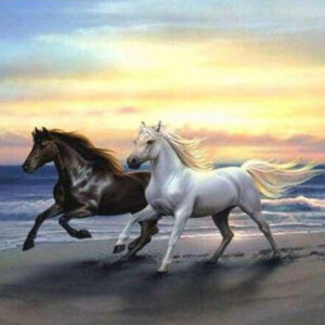 Diamond Painting Paarden Rennen Op Het Strand voorbeeldafbeelding van het volledige ontwerp