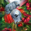 Diamond Painting Papegaai voorbeeldafbeelding van het volledige ontwerp