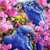 Diamond Painting Papegaai Bij Roze Blossem voorbeeldafbeelding van het volledige ontwerp