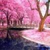 Diamond Painting Park Roze Bloesem voorbeeldafbeelding van het volledige ontwerp