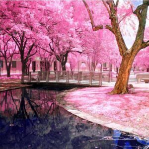Diamond Painting Park Roze Bloesem voorbeeldafbeelding van het volledige ontwerp