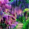 Diamond Painting - Park met paarse bloemen voorbeeldafbeelding van het volledige ontwerp