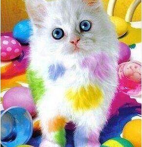 Diamond Painting Pasen Kat voorbeeldafbeelding van het volledige ontwerp