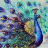 Diamond Painting Pauw Met Gespreide Veren Kleurrijk voorbeeldafbeelding van het volledige ontwerp