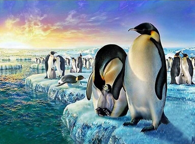 Diamond Painting Pinguin voorbeeldafbeelding van het volledige ontwerp