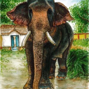 Diamond Painting - Olifant in een dorp voorbeeldafbeelding van het volledige ontwerp