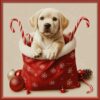 Diamond Painting Puppy in kerstzak voorbeeldafbeelding van het volledige ontwerp