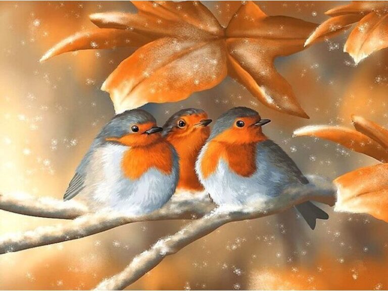 Diamond Painting - Twee roodborstjes onder herfstbladeren voorbeeldafbeelding van het volledige ontwerp