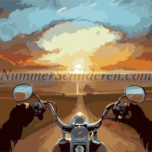 Diamond Painting Route 66 Harley Davidson voorbeeldafbeelding van het volledige ontwerp