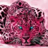 Diamond Painting Roze Tijger Met Blauwe Ogen voorbeeldafbeelding van het volledige ontwerp