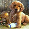 Diamond Painting Rugby Puppy voorbeeldafbeelding van het volledige ontwerp