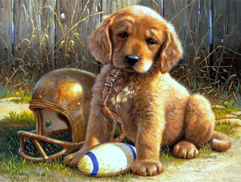 Diamond Painting Rugby Puppy voorbeeldafbeelding van het volledige ontwerp