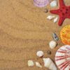 Diamond Painting Schelpen In Het Zand voorbeeldafbeelding van het volledige ontwerp