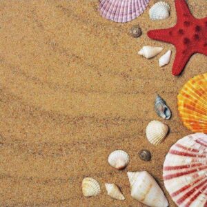 Diamond Painting Schelpen In Het Zand voorbeeldafbeelding van het volledige ontwerp