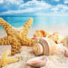 Diamond Painting Schelpen Strand voorbeeldafbeelding van het volledige ontwerp