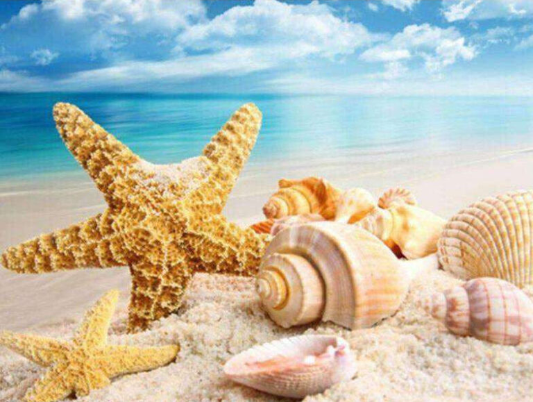 Diamond Painting Schelpen Strand voorbeeldafbeelding van het volledige ontwerp