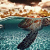 Diamond Painting Schildpad In Het Water voorbeeldafbeelding van het volledige ontwerp