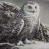 Diamond Painting Sneeuwuil voorbeeldafbeelding van het volledige ontwerp