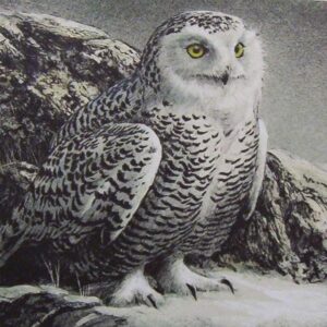 Diamond Painting Sneeuwuil voorbeeldafbeelding van het volledige ontwerp