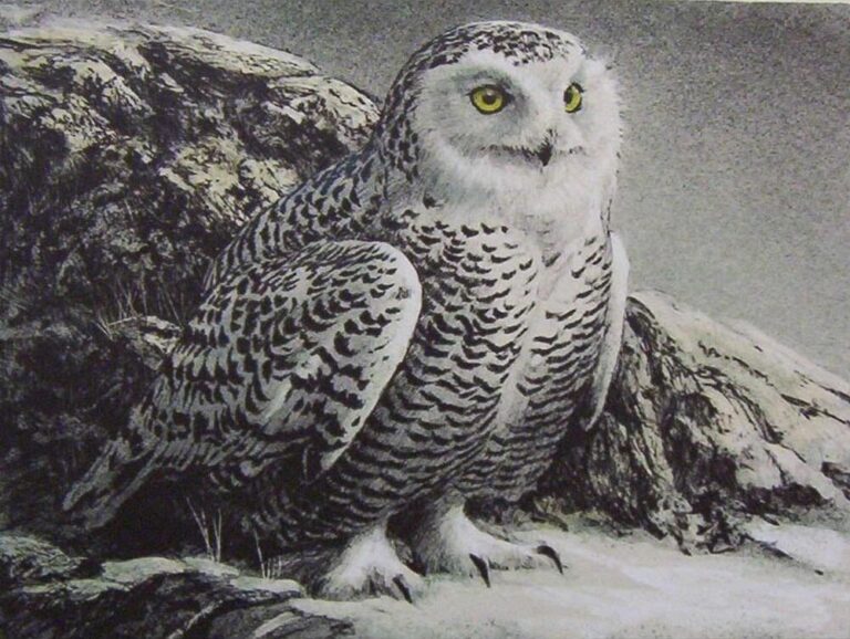 Diamond Painting Sneeuwuil voorbeeldafbeelding van het volledige ontwerp