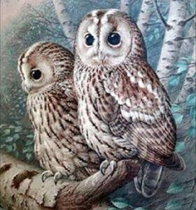 Diamond Painting Sneeuwuilen voorbeeldafbeelding van het volledige ontwerp