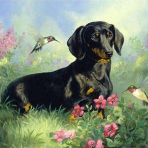 Diamond Painting Teckels Met Vogels voorbeeldafbeelding van het volledige ontwerp