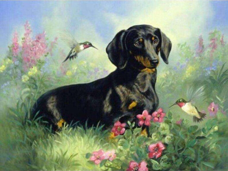 Diamond Painting Teckels Met Vogels voorbeeldafbeelding van het volledige ontwerp