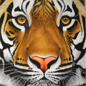 Diamond Painting - Tijgerportret in natuurlijke kleuren voorbeeldafbeelding van het volledige ontwerp
