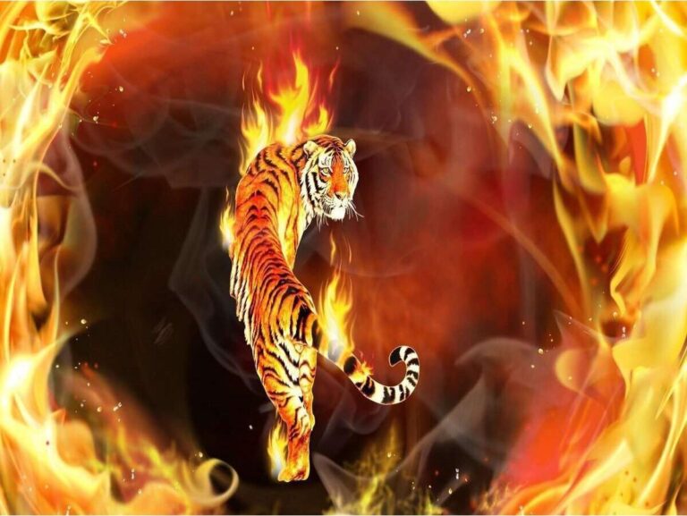 Diamond Painting Tijger En Vuur voorbeeldafbeelding van het volledige ontwerp