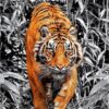 Diamond Painting Tijger Grijs voorbeeldafbeelding van het volledige ontwerp