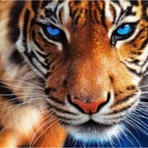 Diamond Painting Tijger Intens voorbeeldafbeelding van het volledige ontwerp
