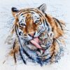 Diamond Painting Tijger Met Welp voorbeeldafbeelding van het volledige ontwerp