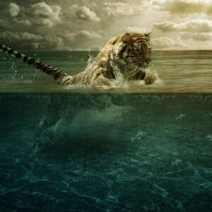 Diamond Painting Tijger Op Jacht voorbeeldafbeelding van het volledige ontwerp
