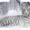 Diamond Painting Tijger Vijfluik voorbeeldafbeelding van het volledige ontwerp