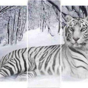Diamond Painting Tijger Vijfluik voorbeeldafbeelding van het volledige ontwerp