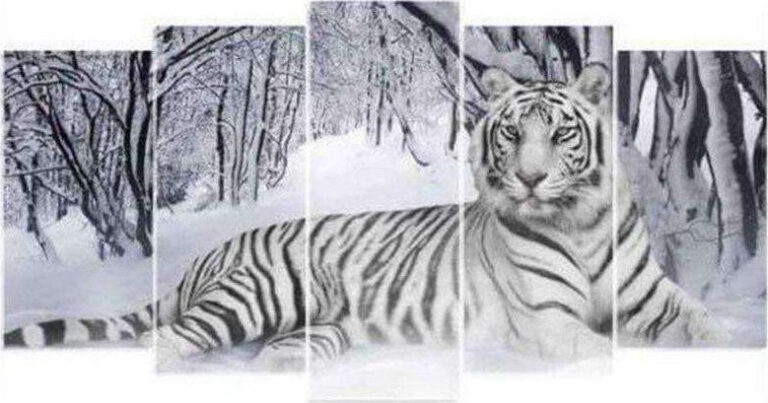 Diamond Painting Tijger Vijfluik voorbeeldafbeelding van het volledige ontwerp