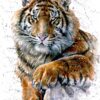 Diamond Painting Tijger Waterverf voorbeeldafbeelding van het volledige ontwerp