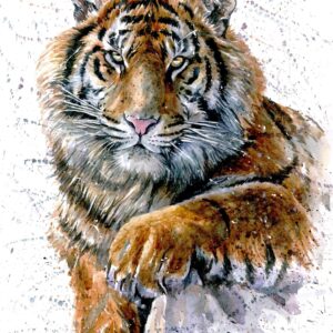 Diamond Painting Tijger Waterverf voorbeeldafbeelding van het volledige ontwerp