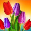 Diamond Painting Tulpen Elvira Clement voorbeeldafbeelding van het volledige ontwerp