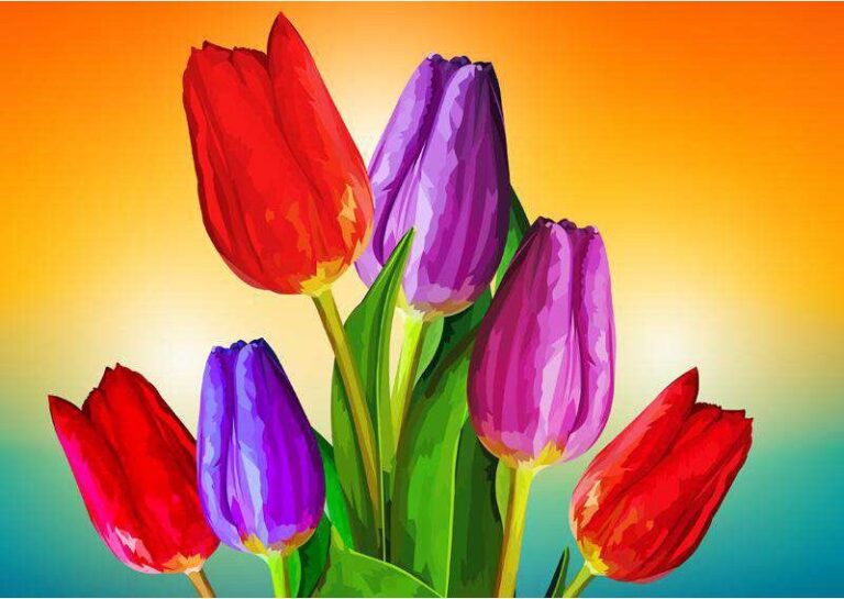 Diamond Painting Tulpen Elvira Clement voorbeeldafbeelding van het volledige ontwerp