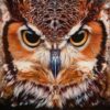 Diamond Painting Uil Portret voorbeeldafbeelding van het volledige ontwerp