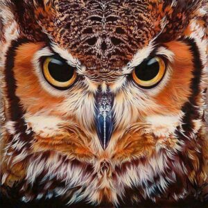 Diamond Painting Uil Portret voorbeeldafbeelding van het volledige ontwerp