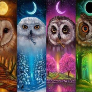 Diamond Painting Verschillende Uilen voorbeeldafbeelding van het volledige ontwerp