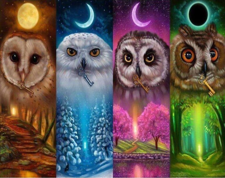 Diamond Painting Verschillende Uilen voorbeeldafbeelding van het volledige ontwerp