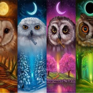 Diamond Painting Vier Uilen voorbeeldafbeelding van het volledige ontwerp