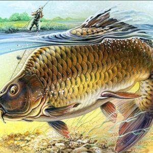Diamond Painting - Karper in de rivier voorbeeldafbeelding van het volledige ontwerp