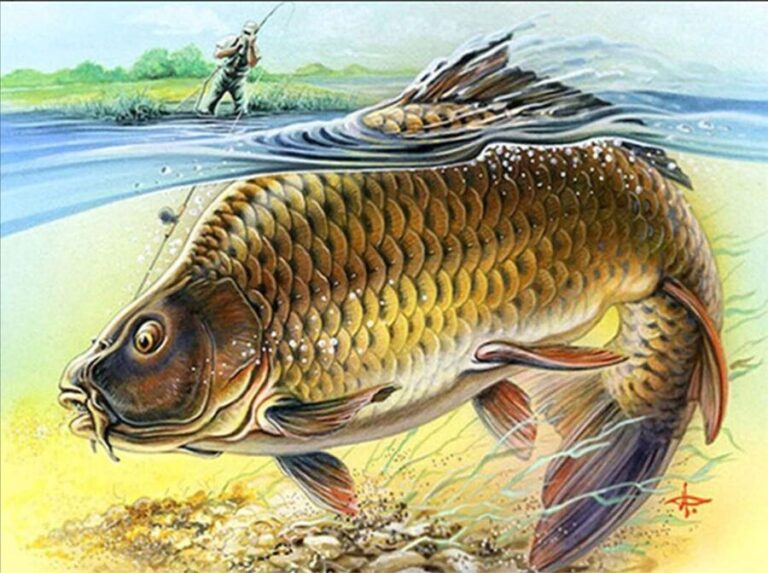 Diamond Painting - Karper in de rivier voorbeeldafbeelding van het volledige ontwerp