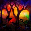 Diamond Painting Vlinder Bij Zonsondergang HP Design voorbeeldafbeelding van het volledige ontwerp
