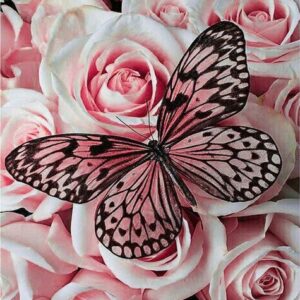 Diamond Painting Vlinder - Rozen voorbeeldafbeelding van het volledige ontwerp